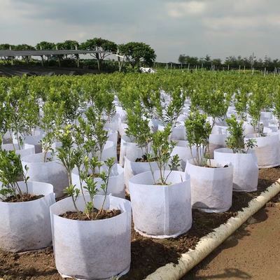 袋の環境保護を植え、培うボーダー卸売を渡る製造業者は耕作および維持を感じた