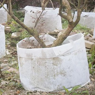 熱いカスタマイズし非編まれた生地の通気性のfletの木が袋のハンドルが付いている大きい養樹園袋を育てる生物分解性の植物袋を販売する